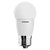 Bombilla LED Toshiba G45  A 4 W 290 Lm (Blanco Cálido 2700K)