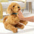 Peluche Famosa Moji Dog