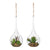 Planta Decorativa 119534 Artificial Interior Ø 9 cm