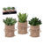 Planta Decorativa 119626 Verde (3 Pcs)