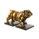 Sujetalibros DKD Home Decor ‎ Bulldog Resina (2 pcs) (11 x 12 x 14 cm) (11 x 12 x 15 cm)