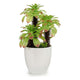 Planta Decorativa Ibergarden (17 x 31 x 17 cm) Blanco