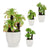 Planta Decorativa Ibergarden (17 x 31 x 17 cm) Blanco