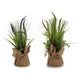 Planta Decorativa (12 x 39 x 12	 cm)