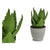 Planta Decorativa Aloe Vera Plástico (14 x 23 x 14 cm)